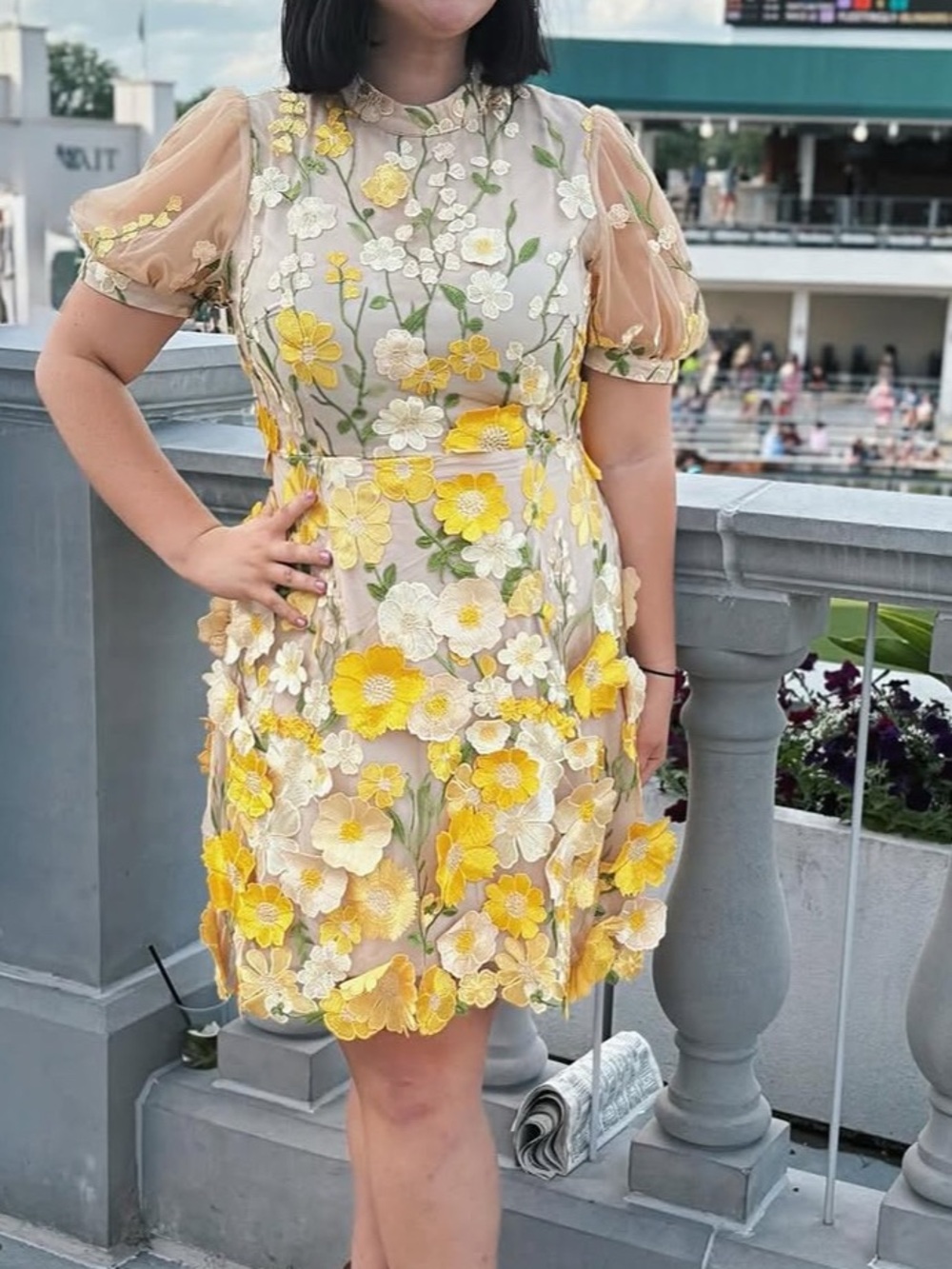 Anewsta Yellow and Cream Floral Appliqué Dress